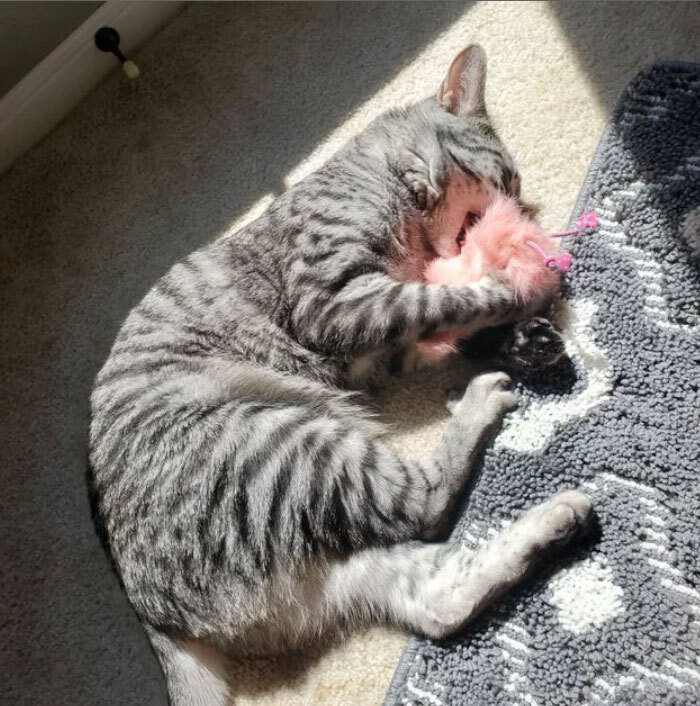 kitty with pink fur pom pom cat toy