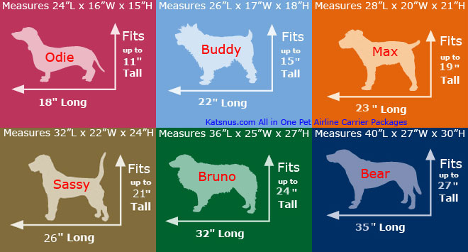 Pet Carrier Size Chart