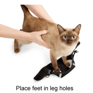 cat-harness-instuctions-text.gif