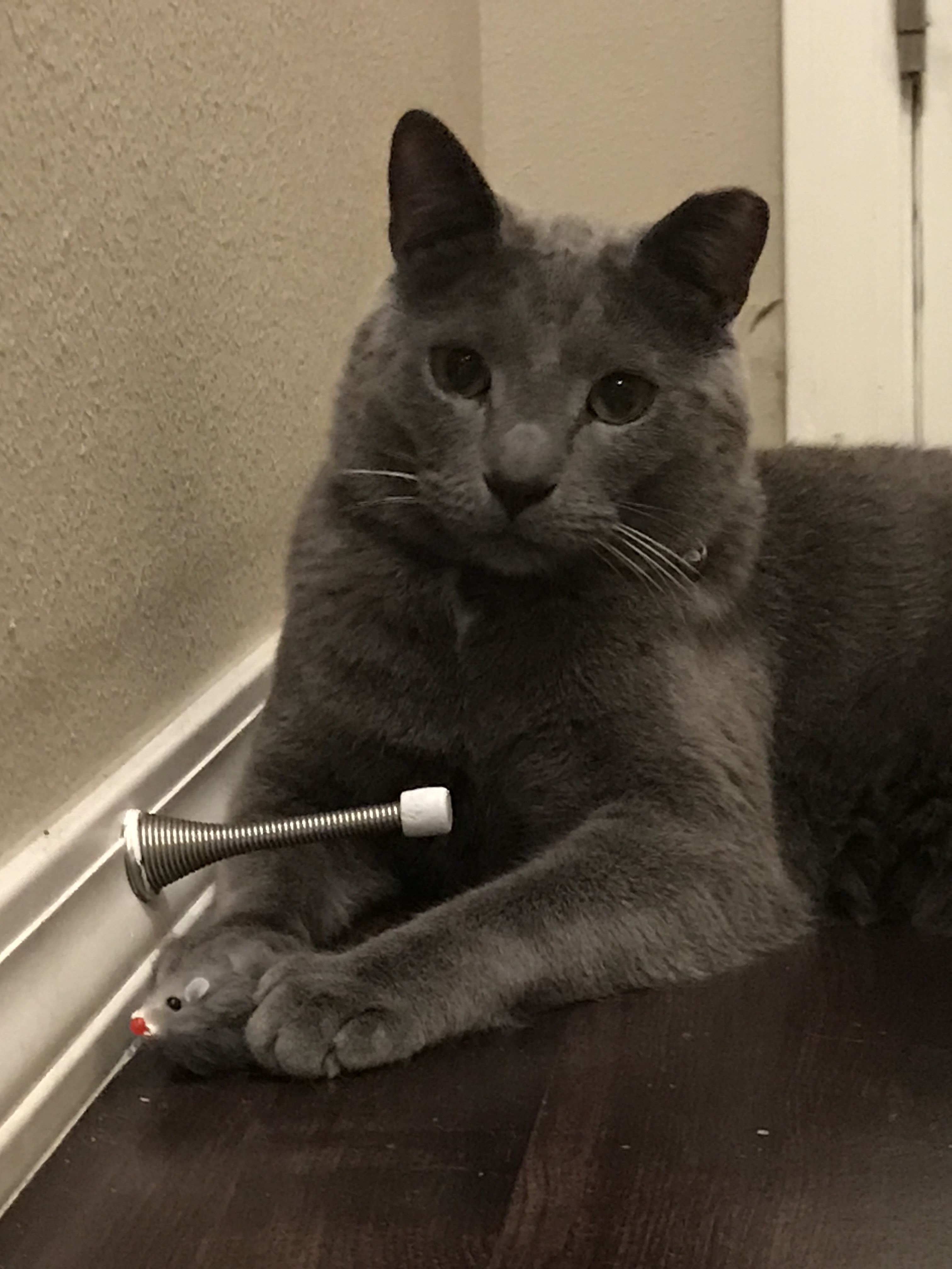 Cat  with Rabbit Fur Mouse Cat Toy