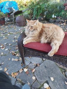 pete-on-ottoman-rotated-1-.jpg