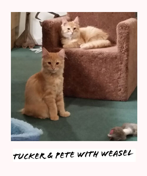 Tucker & Pete